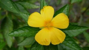 G92f4391de4ff4cbdfd08368d1d984de4678ac8612bfa679c17358b2253bf33a11a506fea001ce34f4687734767a5061eb2b4375a950a092807997f9fefd4daea 640